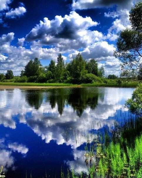 Create meme: lake of childhood, the beauty of nature, nature landscape