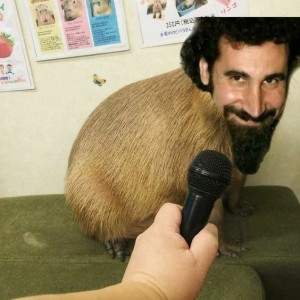 Create meme: dog funny, male, capybara