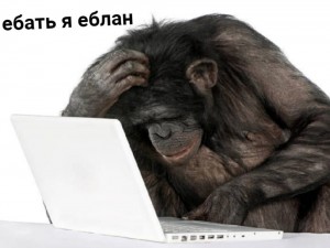 Create meme: monkey behind a computer