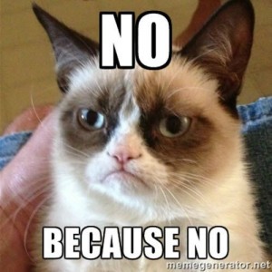 Create meme: grumpy cat, grumpy cat meme, grumpy cat