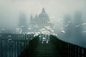 Создать мем: venice italy, стелющийся туман, мосты город