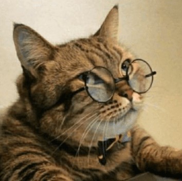 Create meme: cat with glasses, cat with glasses, cat smart 