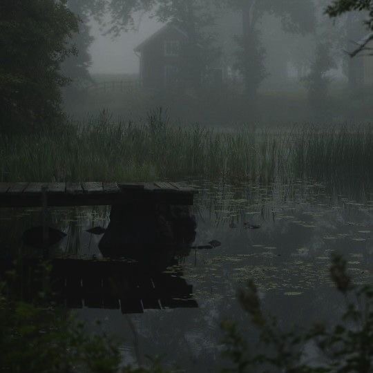 Create meme: the house on the swamp, landscape fog, landscape 