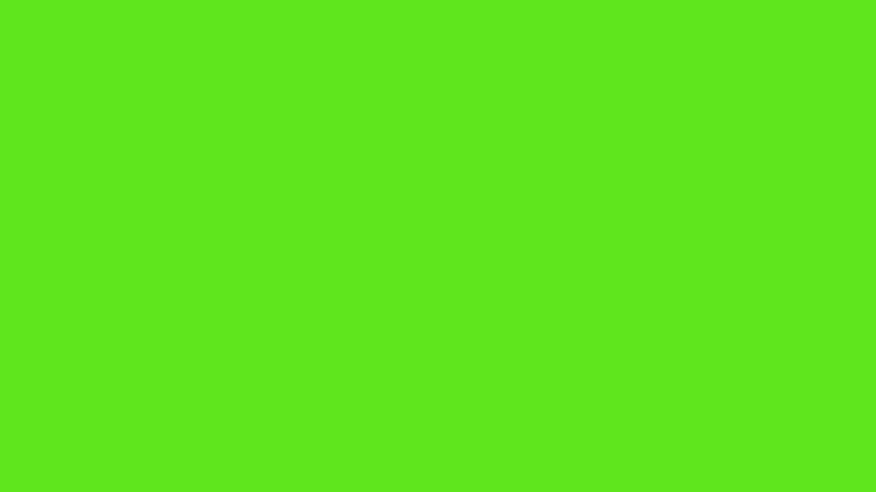 Create meme: the light green color is solid, chromakey green, green monochrome background