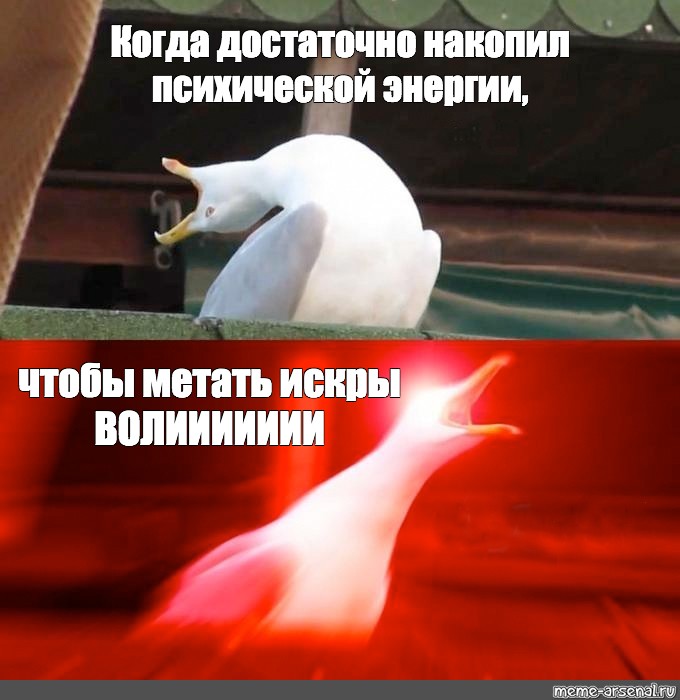 День на увеличение. Мем с чайкой глубокий вдох. Глубокий вдох ААА Чайка. Мем Чайка Фервекс. Алчная Чайка Мем.