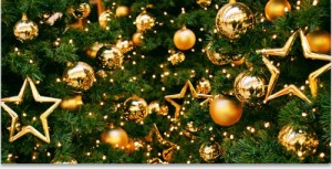 Create meme: christmas, the tree in the center of Kiev, tree