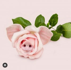 Create meme: beautiful roses, flower artificial rose, pink roses