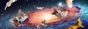 Создать мем: корги радуга, корги в космосе, собака корги в космосе