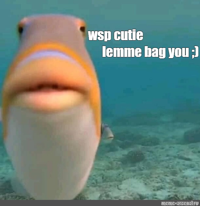 meme-wsp-cutie-lemme-bag-you-all-templates-meme-arsenal