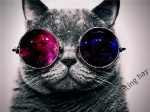 Создать мем: cool cat, крутые картинки на аватарку, офигенные аватарки