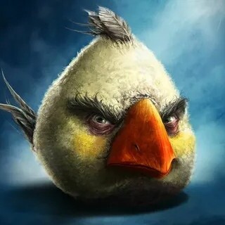 Создать мем: angry birds ace fighter, реалистичные птицы энгри бердз, птица из энгри бердз