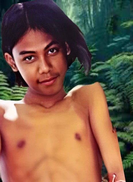 Create meme: mowgli the jungle book, Little Mowgli, neil sethi mowgli