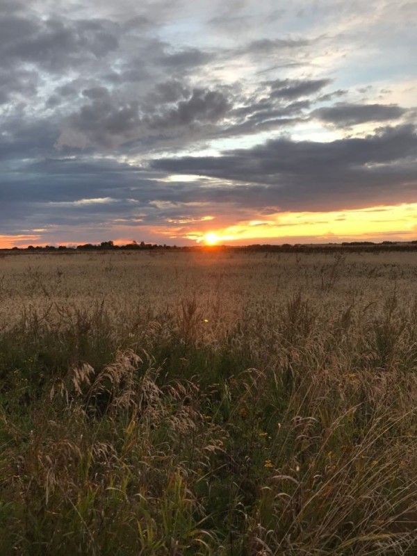 Create meme: dawn landscape, field dawn, nature sunrise