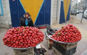 Create meme: strawberry, strawberry Egypt, Iran fruits and vegetables