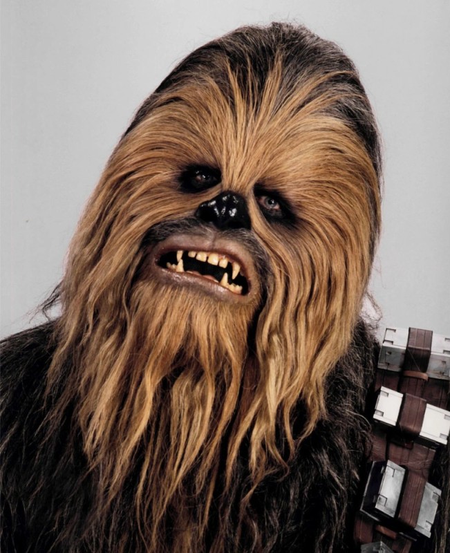 Create meme: Chewbacca from star, Chewbacca star wars, chewie star wars