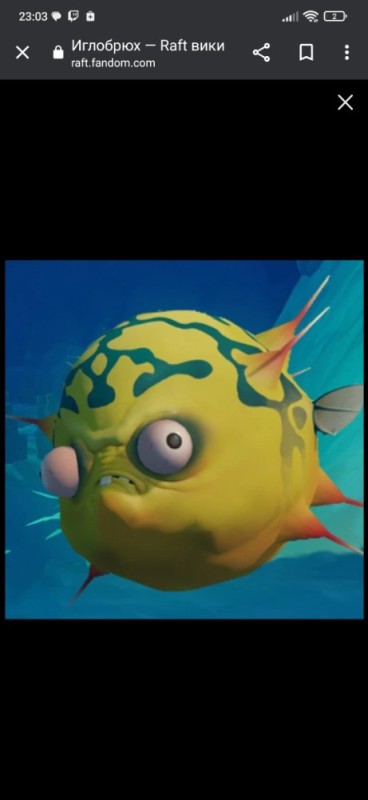 Create meme: raft puffer fish, raft puffer fish, screenshot 