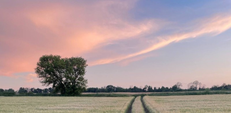 Create meme: the sky , sunset , tree landscape