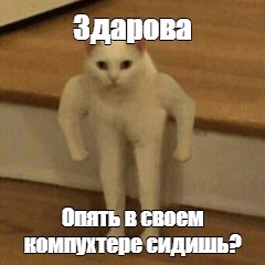 Создать мем: null