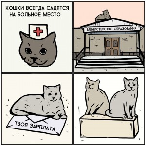 Create meme: humor, cats always sit on the affected area, humor comics