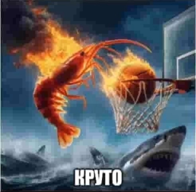 Create meme: basketball, basketball game, basketball 