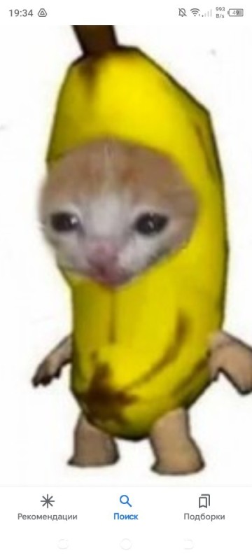 Create meme: a crying cat in a banana costume, the banana cat, cat with banana meme