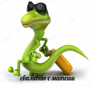 Создать мем: lizard, kertenkele, reptile