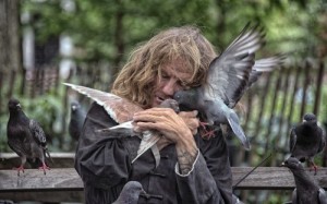 Create meme: pigeon, birds of new York, man and birds