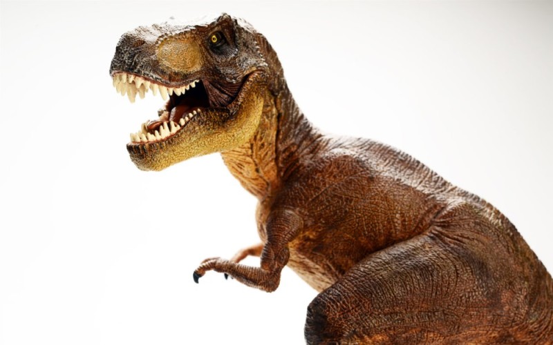 Create meme: tyrannosaurus rex, dinosaurs on a white background, Woolly Tyrannosaurus Rex