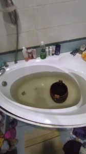 Create meme: restoration of bathtubs, toilet, bath