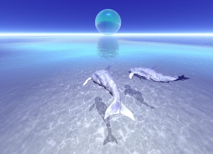 Create meme: dolphins , dolphins above the water, dolphins art