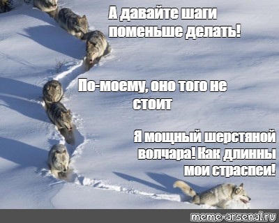 Шаг дай