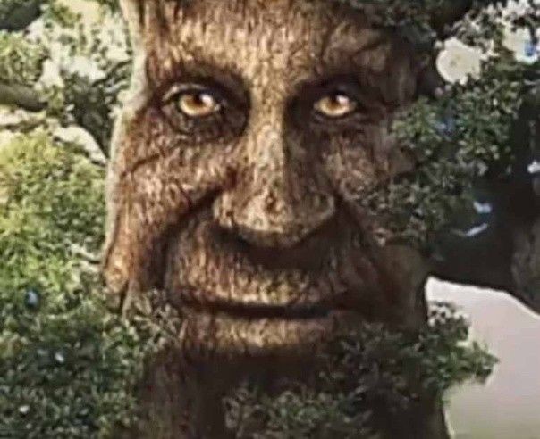 Create meme: meme tree with a face, The mystical tree meme, meme tree