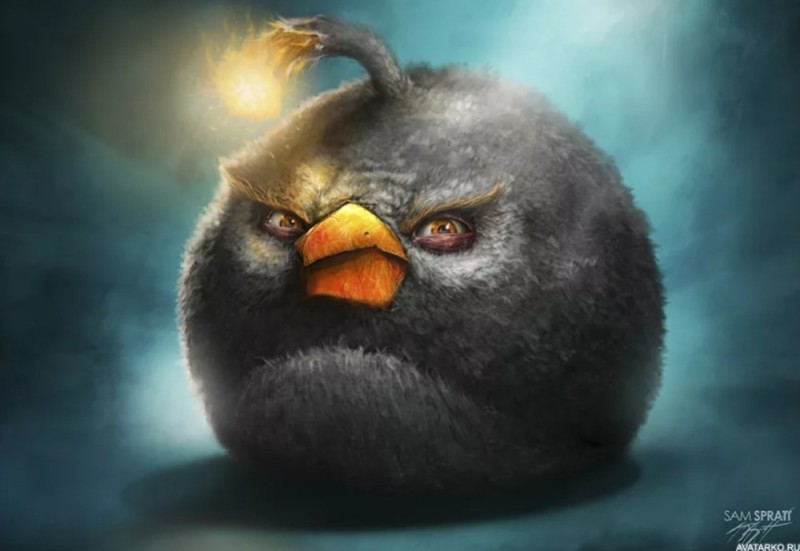 Create meme: Sam Spratt Engry Birds, Angri birds black bird, The evil bird of the Angri Birds