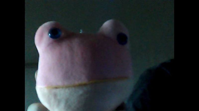 Create meme: The squishy axolotl, axolotl colors, Kermit the frog