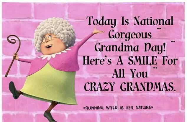 Create meme: gorgeous grandma day — USA, cartoon lorax granny, lorax grandmother