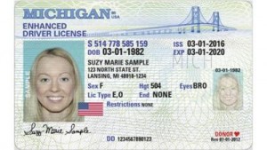 Создать мем: водительские права new york, nevada driver license, водительские права michigan