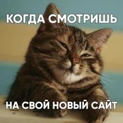 Create meme: happy cat, happy cat, cat