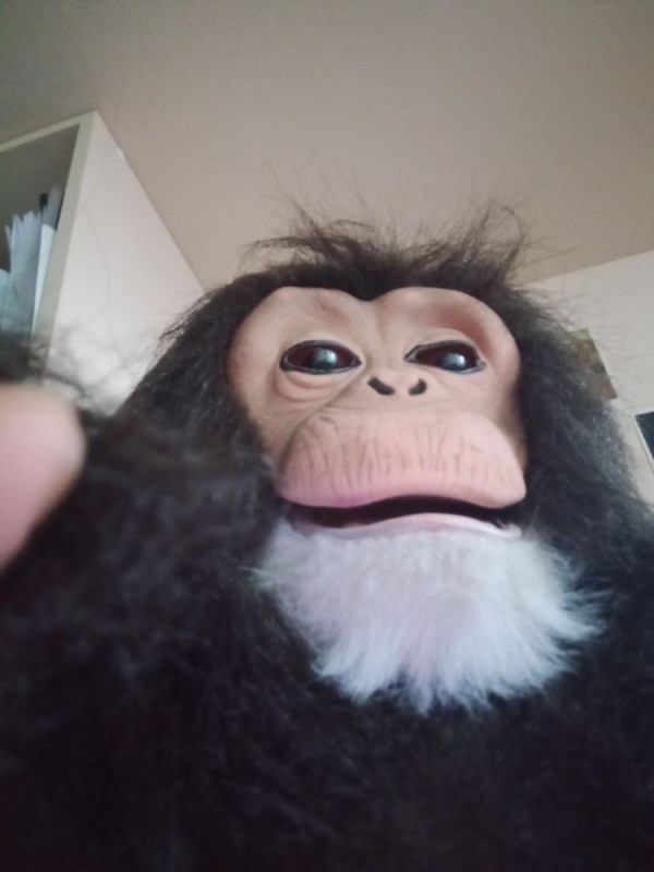 Create meme: toy monkey, interactive monkey toy, interactive monkey