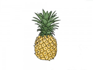 Создать мем: рисунки экзотических фруктов, рисунокананас для детей, ананас тумблер пнг
