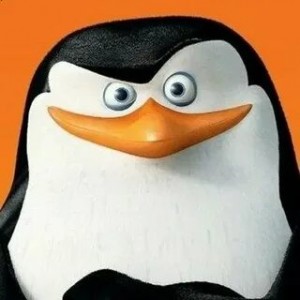 Create meme: the penguins of Madagascar skipper, the penguins of Madagascar, skipper the penguin