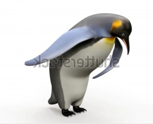 Create meme: animals, penguin, penguins