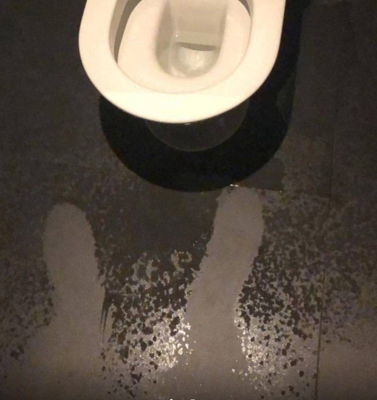 Create meme: the toilet , toilet , the toilet in the poppy