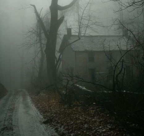 Create meme: the forest dark, abandoned house, gloomy landscapes