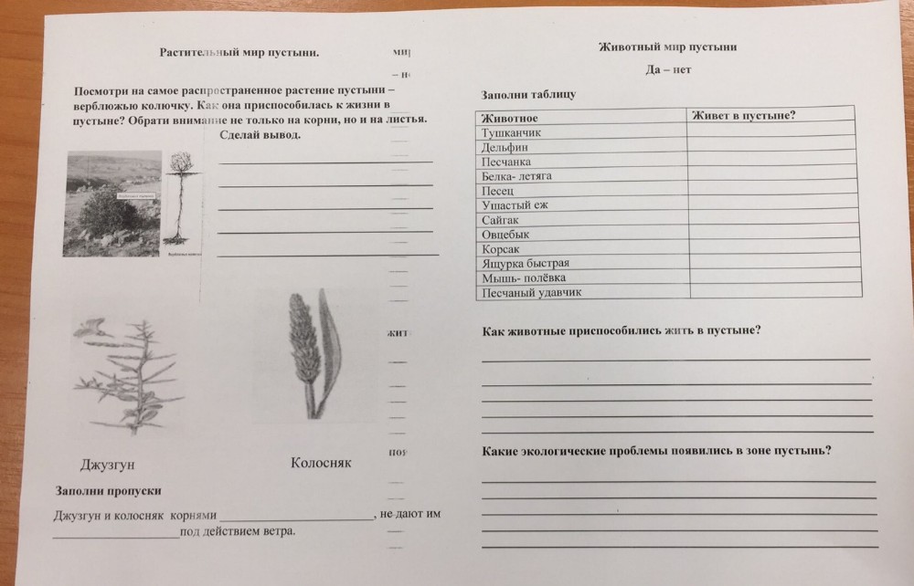 Лифанова природоведение. Природоведение 5 класс рабочая тетрадь т.м Лифанова гдз. Рабочая тетрадь по природоведению 6 класс к учебнику Лифановой.