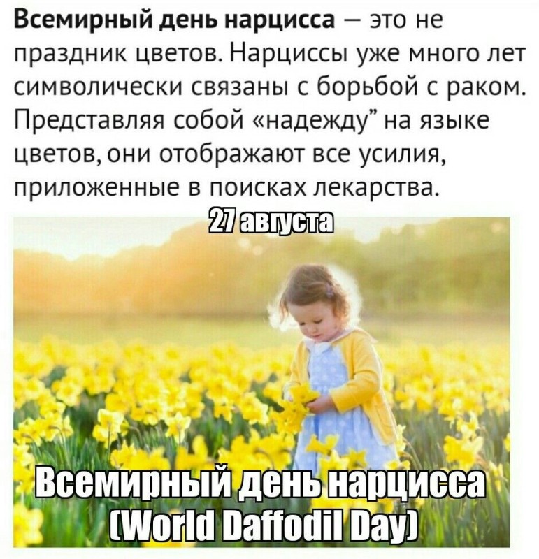 Create meme: day , daffodils, international day