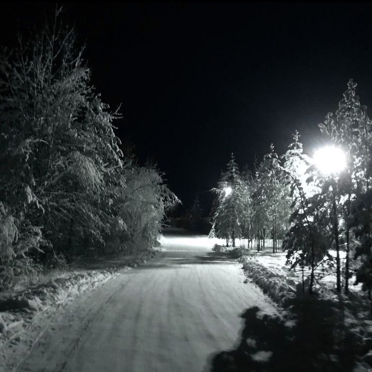 Create meme: The road is winter night, Snow night, Winter forest night