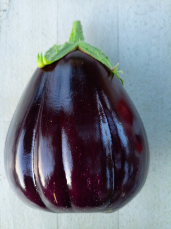 Create meme: eggplant, eggplant black handsome, eggplant varieties