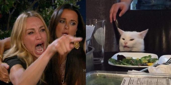 Create meme: meme woman yelling at the cat, MEM woman and the cat, a meme with a cat and girls at the table