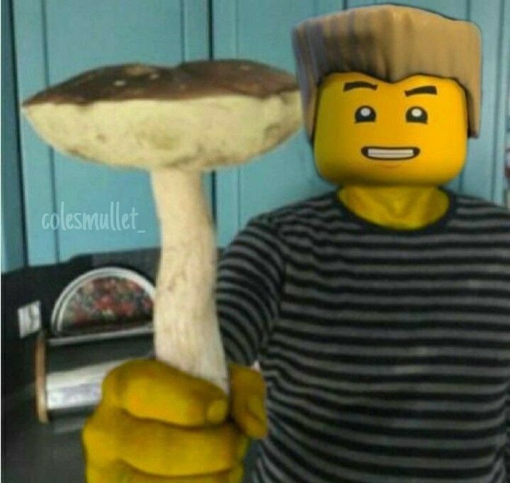 Create meme: mushroom meme, Dr. Julien Ninjago, grandfather mushroom