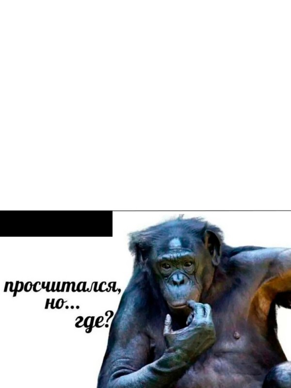 Создать мем: смешные обезьяны, мыслитель обезьяна, задумавшая обезьяна